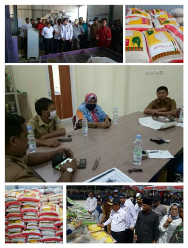 Kuala Kampar Grand Design Lumbung Pangan Berorientasi Ekspor Menuju IP 200 di Luasan Lahan 5806 Hektar 