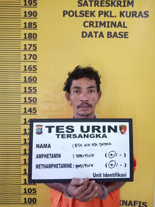 Simpan Sabu di Pohon Kelapa Warga di Pangkalan Kuras Ditangkap Polisi
