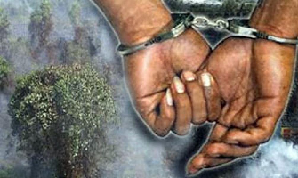 2 Pelaku Pembakaran Hutan Ditangkap Polres Kampar