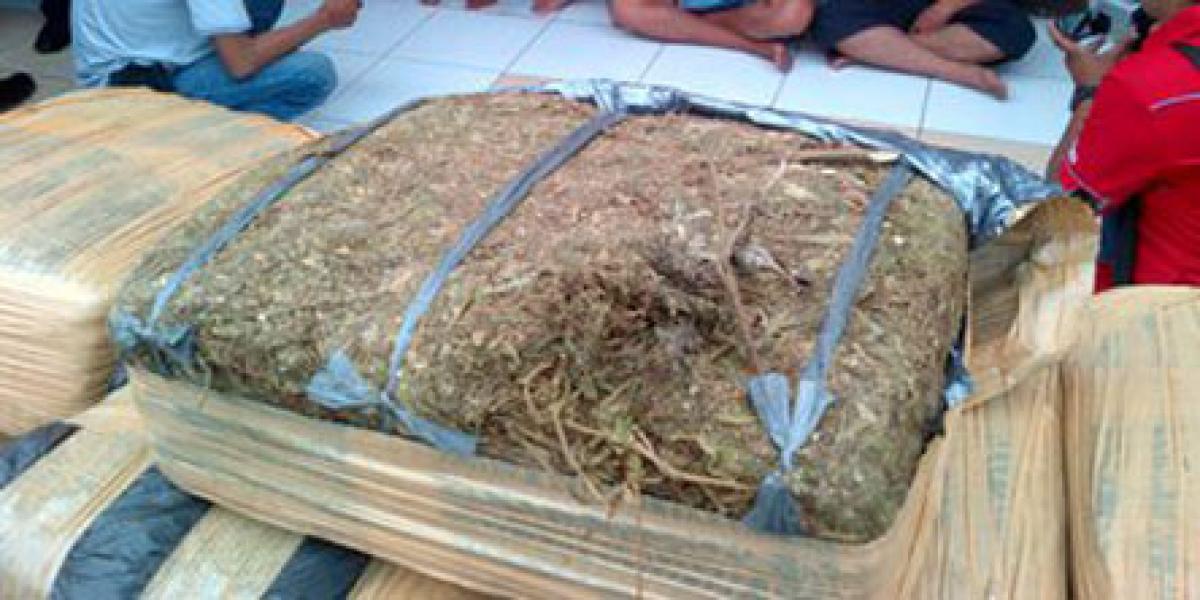 Bandar Ganja Asal Aceh Dicokok Polisi