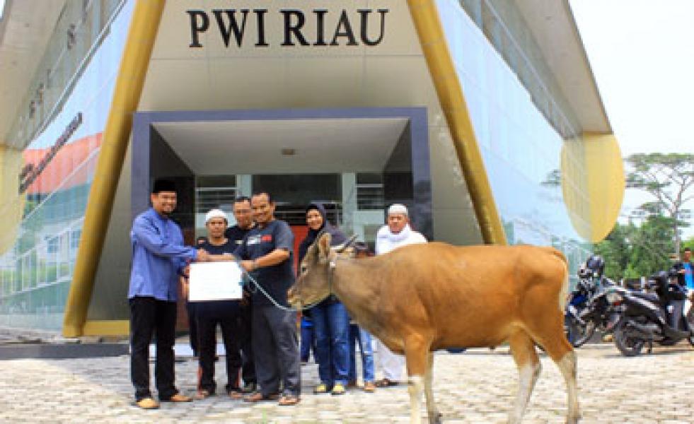 Bank Riau Kepri Serahkan Bantuan Sapi Qurban ke PWI Riau