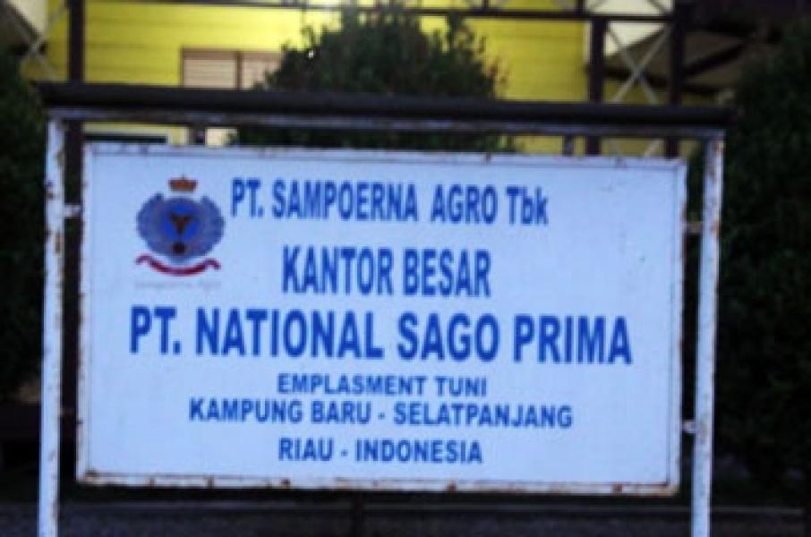 Dua Petinggi PT NSP Tersangka Karhutla, Tapi Tak Ditahan