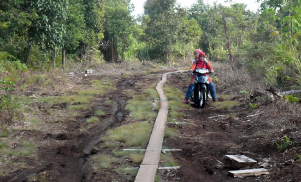 Jalan Desa Tanjung Darul Takzim Masih Sekeping Papan