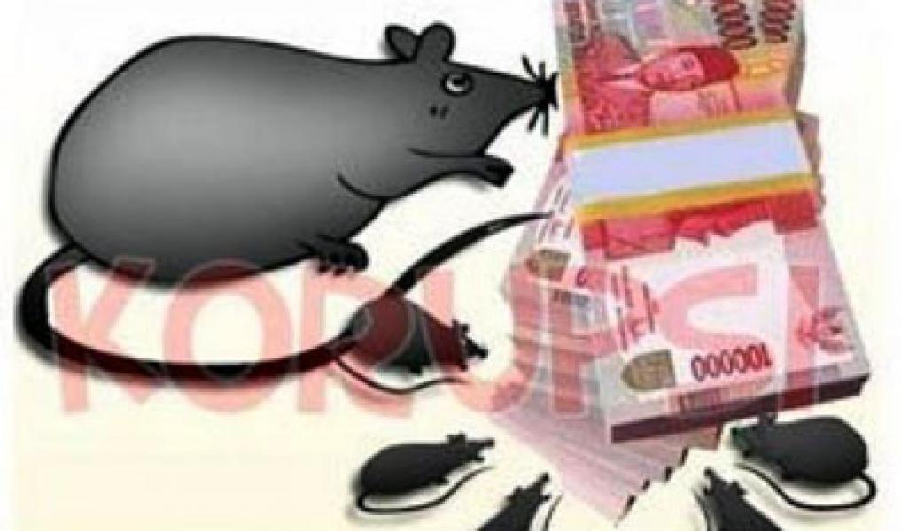 Kejari Rengat Usut Kasus KUR Fiktif di BRI dan BNI