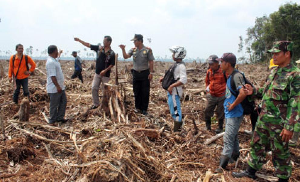 Langgar Komitmen, RAPP Luluh Lantakan Hutan Teluk Belitung
