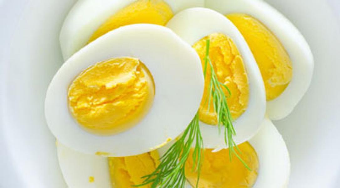 Sehatkah Makan Telur Tiap Hari?