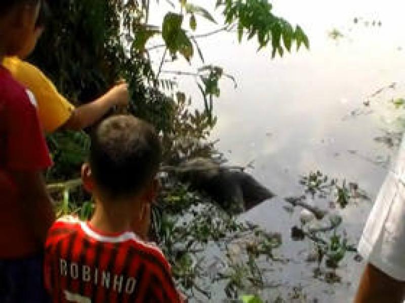 Sosok Mayat Mr X Ditemukan Mengapung Disungai Siak