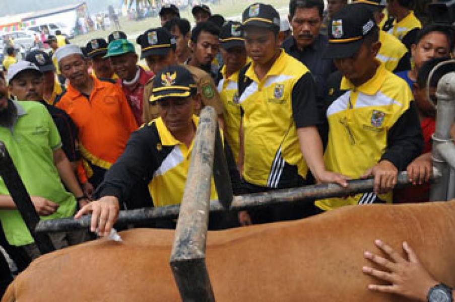 Bupati Harris Minta Disnak Bentuk Sentra Peternakan Rakyat