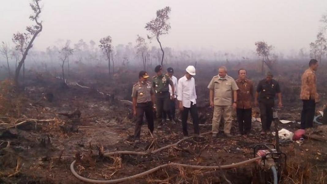 Digugat Rp 7 Triliun, Sinar Mas: Apa Tidak Salah