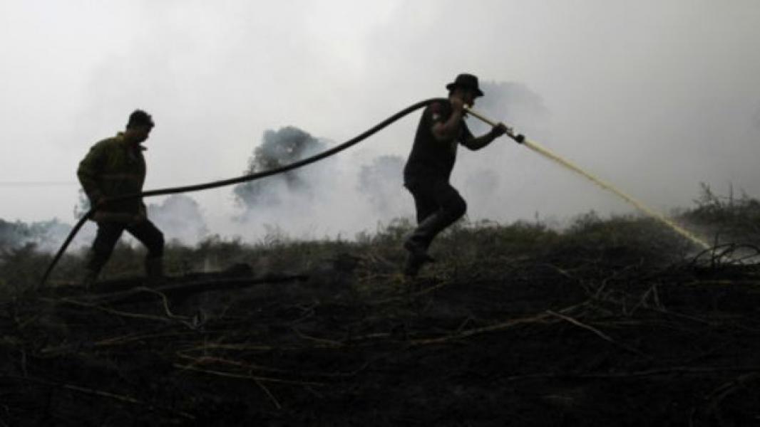 Jokowi Tak Perlu Malu Menerima Bantuan Penanganan Kabut Asap