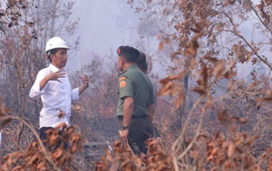 Kabut Asap: Presiden Minta Bantuan Empat Negara