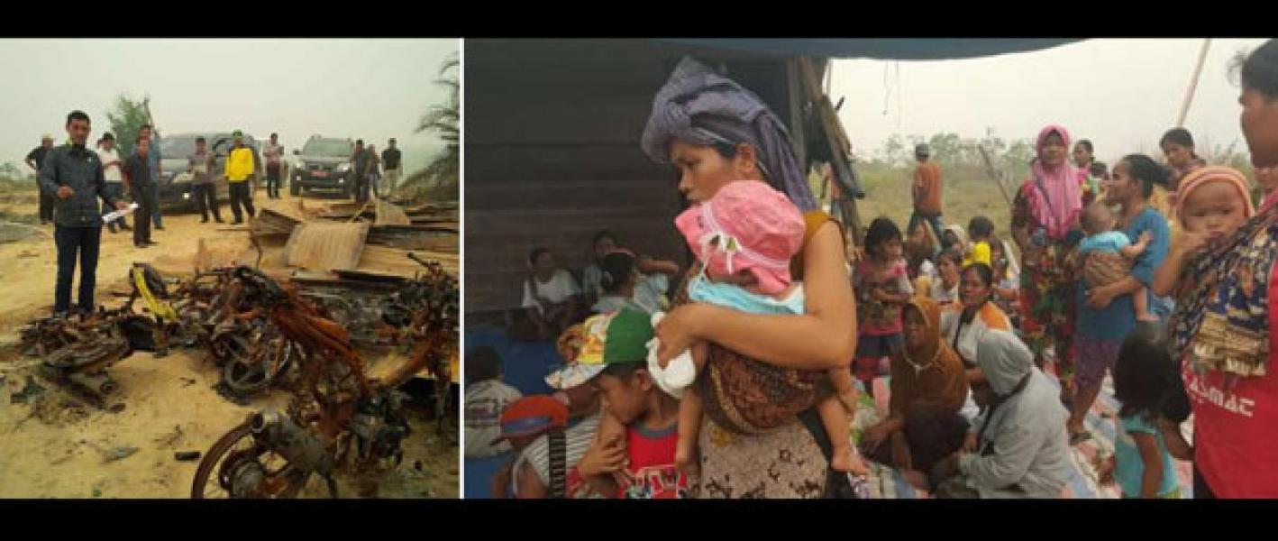Lecehkan Pemda Pelalawan, Aksi Penyerangan PT Rimba Lazuardi Tak Manusiawi