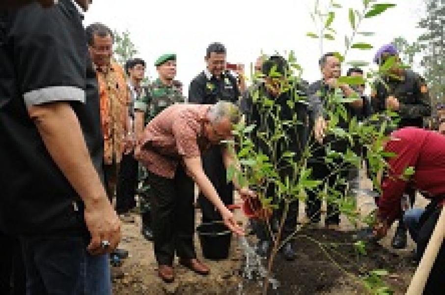 Plt Gubri: Menanam Pohon Proses Pengembalian Fungsi Hutan
