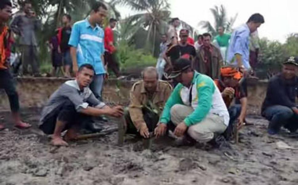 Prihatin Abrasi, IPMK2M Tanam Mangrove