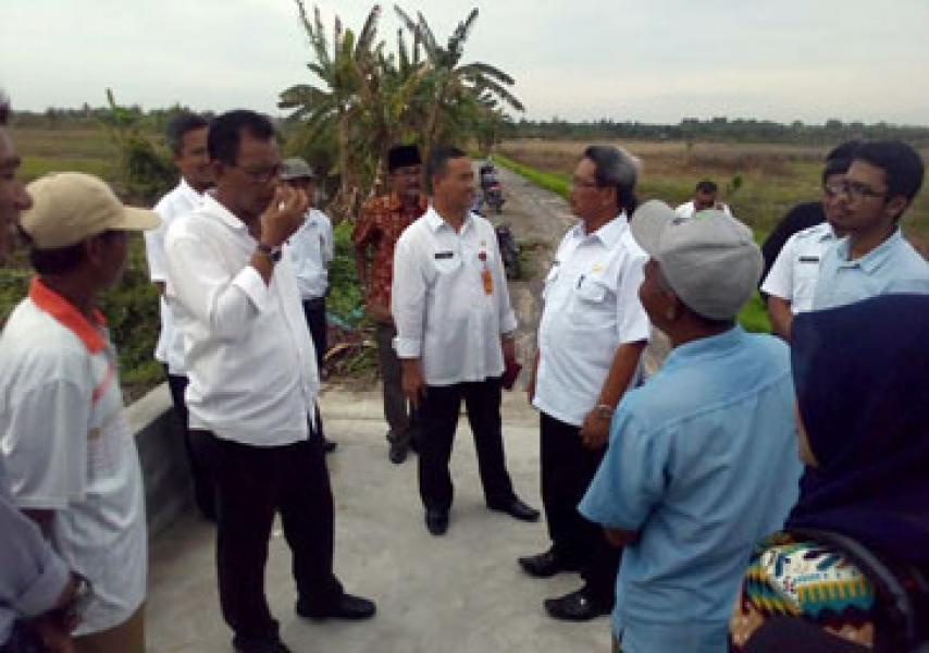 500 Ha Areal Pertanian Bagan Jawa Pesisir Rohil Bakal Jadi Percontohan