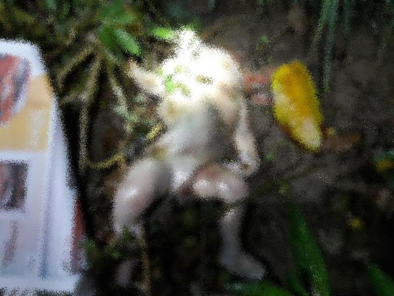 ABG di Dumai, Pembuang Bayi Dalam Sumur di Tangkap