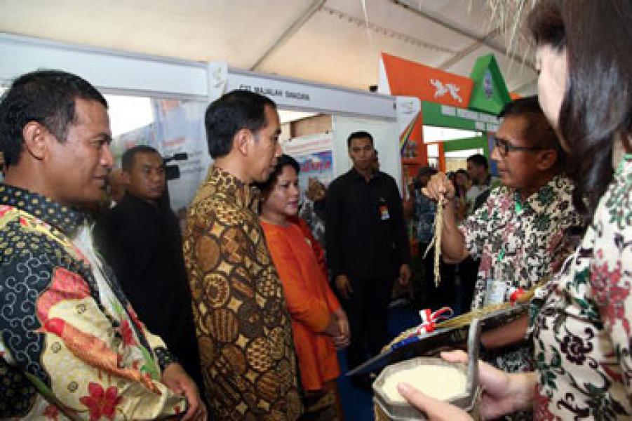 Benih Padi Unggul Sembada Dukung Kedaulatan Pangan Dunia