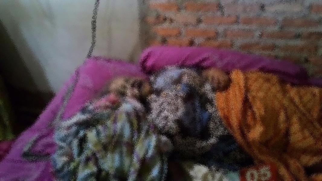 Diduga Dibunuh Suaminya, Mayat IRT di Pekanbaru Ditemukan Anaknya Tewas di Tempat Tidur