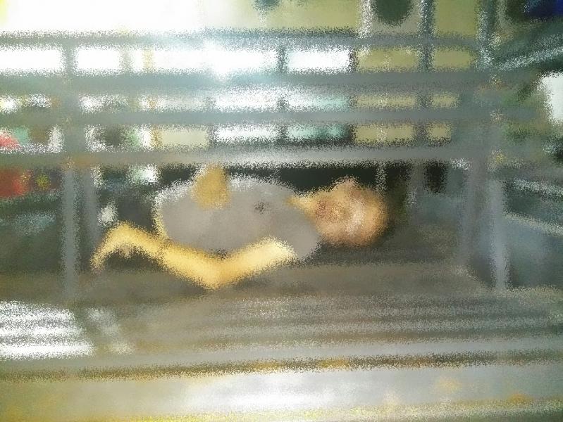 Diduga Pelaku Curanmor, Siswa SMK di Pekanbaru Tewas Diamuk Massa