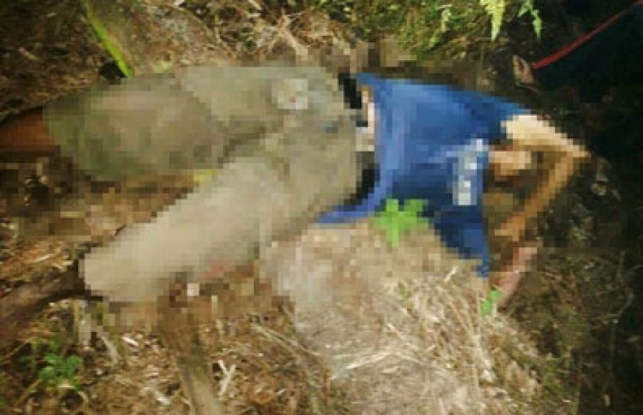 Diduga Sakit, Warga Langgam Ditemukan Tewas ‎di Bawah Pokok Sawit