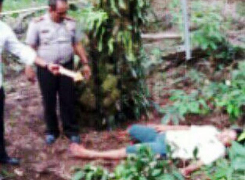 Jatuh Tertimpa Tandan Buah Sawit, Karyawan PT PSA Rohul Tewas