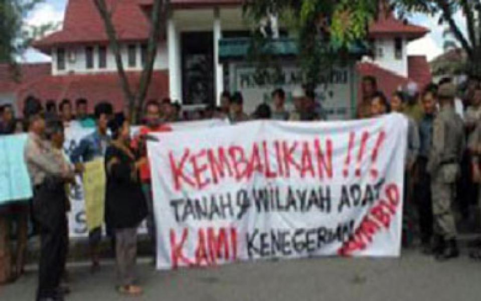 Kebun Fieter Wongso Tak Kunjung Dieksekusi, Yayasan Riau Madani Akan Koordinasi dengan Polres