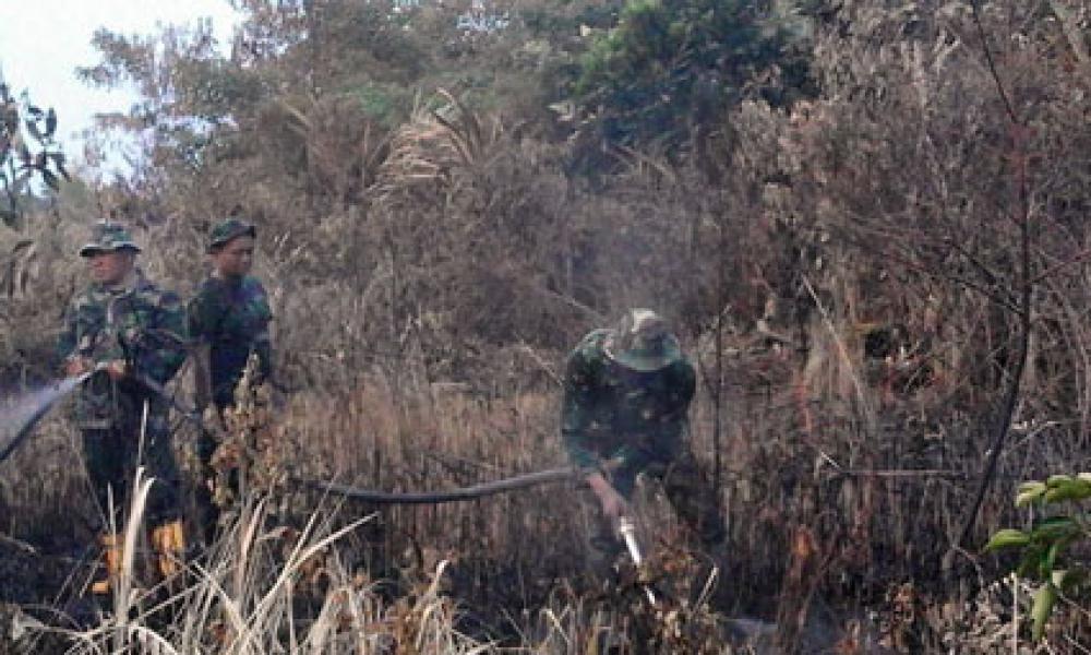 Koramil 06/Sukajadi Bersama Tim BNPB Berjibaku Padamkan Kebakaran Lahan di Kelurahan Air Hitam