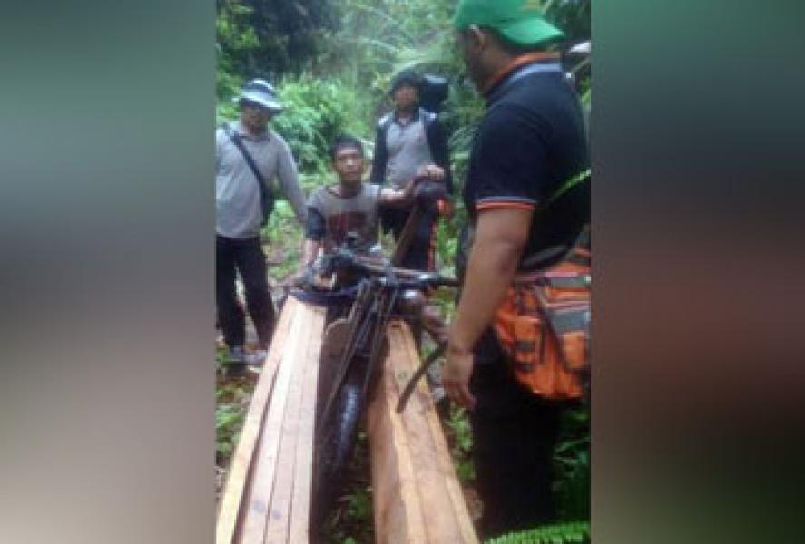 Polres Siak Tangkap Tiga Pelaku Illegal Logging, 4 Kubik Kayu Olahan Disita
