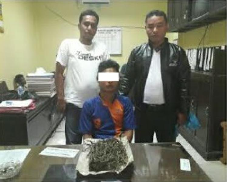 Satresnarkoba Polres Kuansing Bekuk Pengedar Ganja