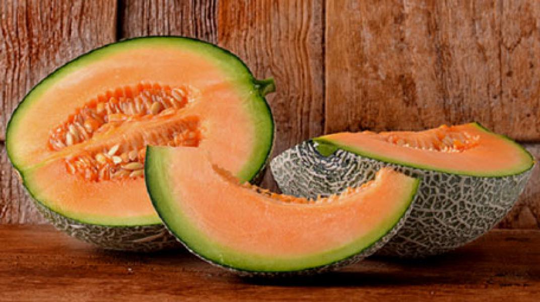 Segarnya Melon Ampuh Turunkan Kolesterol Jahat