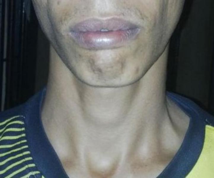 Seorang Pelaku Pencurian Ruko Dibekuk Polisi