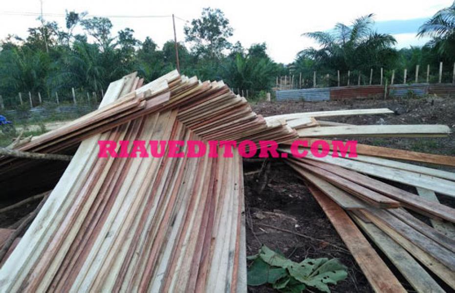Seorang Warga Desa Domo Tewas Ditimpa Tiga Kubik Kayu Papan