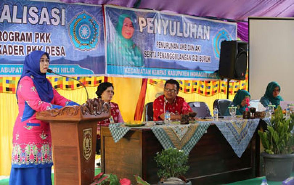 TP-PKK Inhil Sosialisasi 10 Program Pokok PKK Bagi Kader Desa