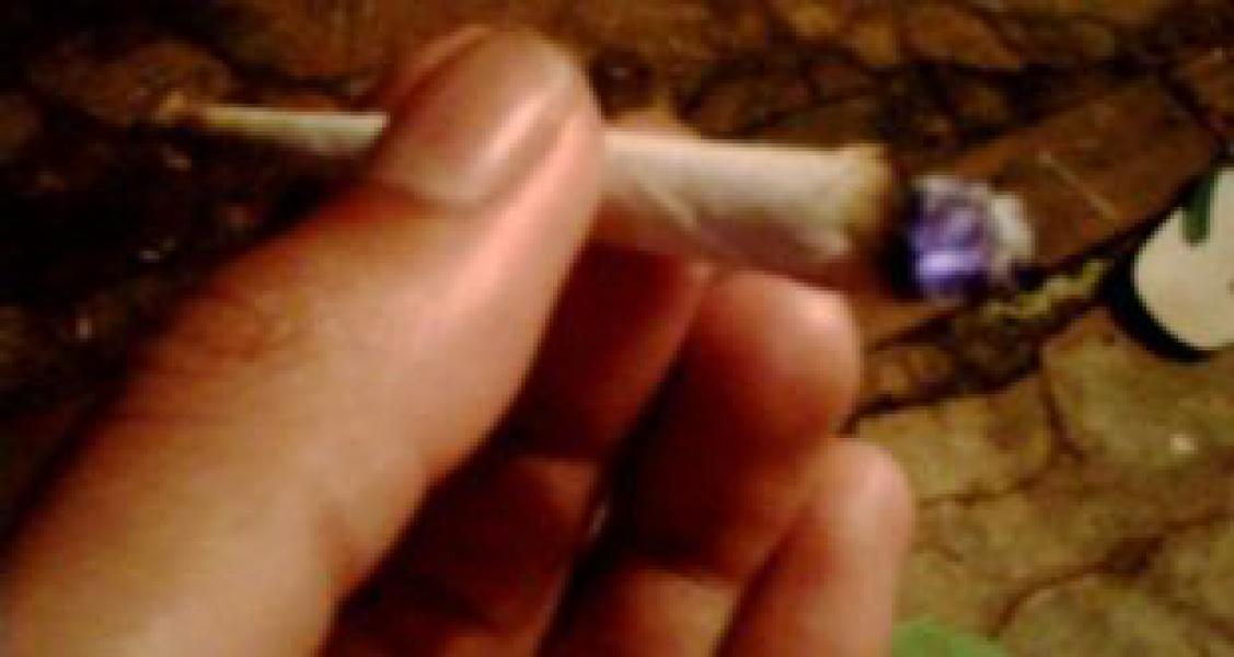 Tiga Pelajar di Rohil Ditangkap Sedang Konsumsi Ganja