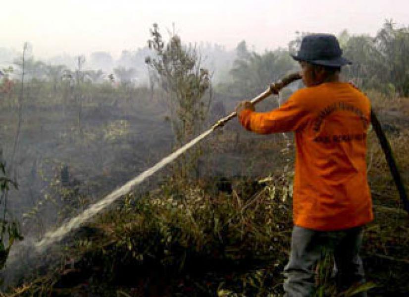 Titik Api di Bukit Suligi Padam, Balai Diklat Upayakan Penghijauan Kembali  