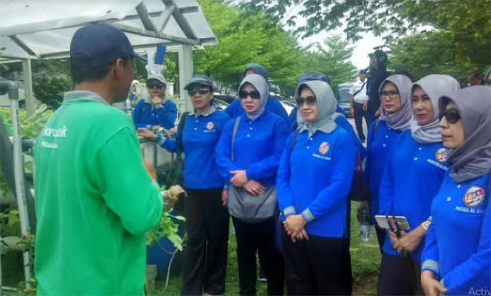 ‘Hidroponik Asik’ Bersama DWP Bakamla RI
