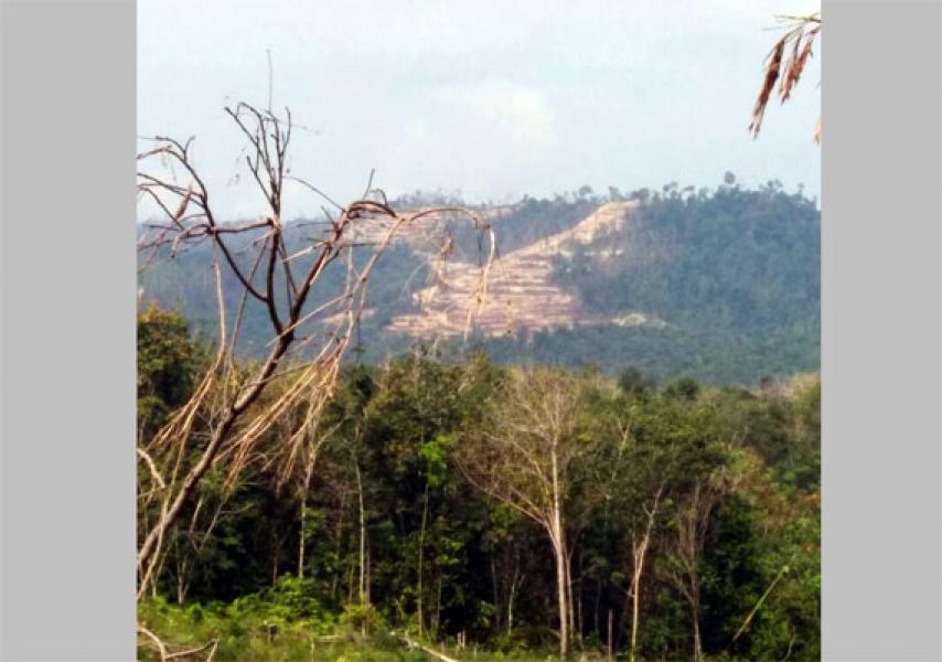 Diduga Kawasan Hutan, Kades Danau Sentul Terbitkan 50 SKT Kepada Pengusaha Asal Pekanbaru
