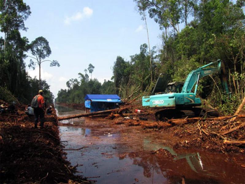 Pencabutan Izin HTI RAPP Akan Kembalikan Martabat Rakyat Riau