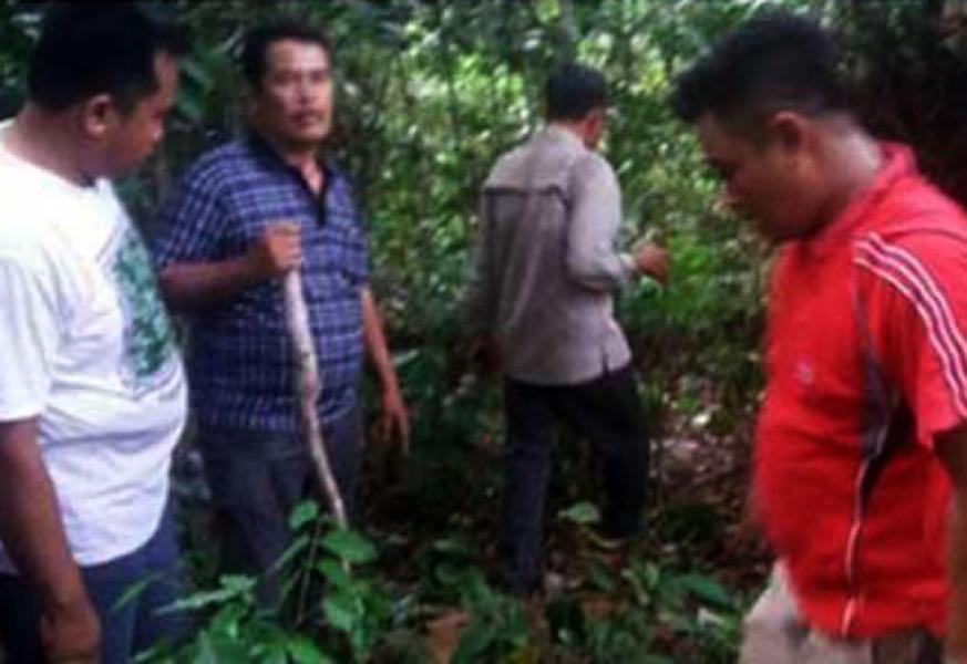 Petani Karet Bersimbah Darah Diterkam Beruang di Kampar Kiri