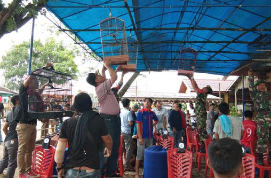 Bersama Koramil 03/Tempuling Lomba Kicau Mania SSBC Berlangsung Meriah