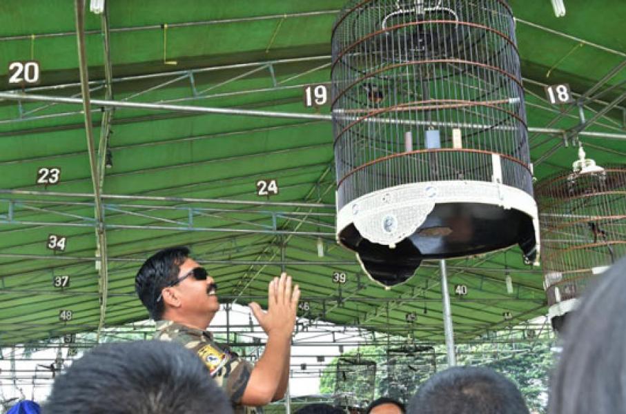 Panglima TNI Buka Festival dan Kompetisi Burung Berkicau