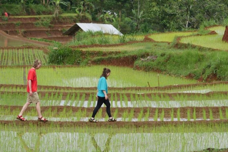 4 Desa Wisata Indonesia Masuk 100 Besar Destinasi Berkelanjutan Dunia
