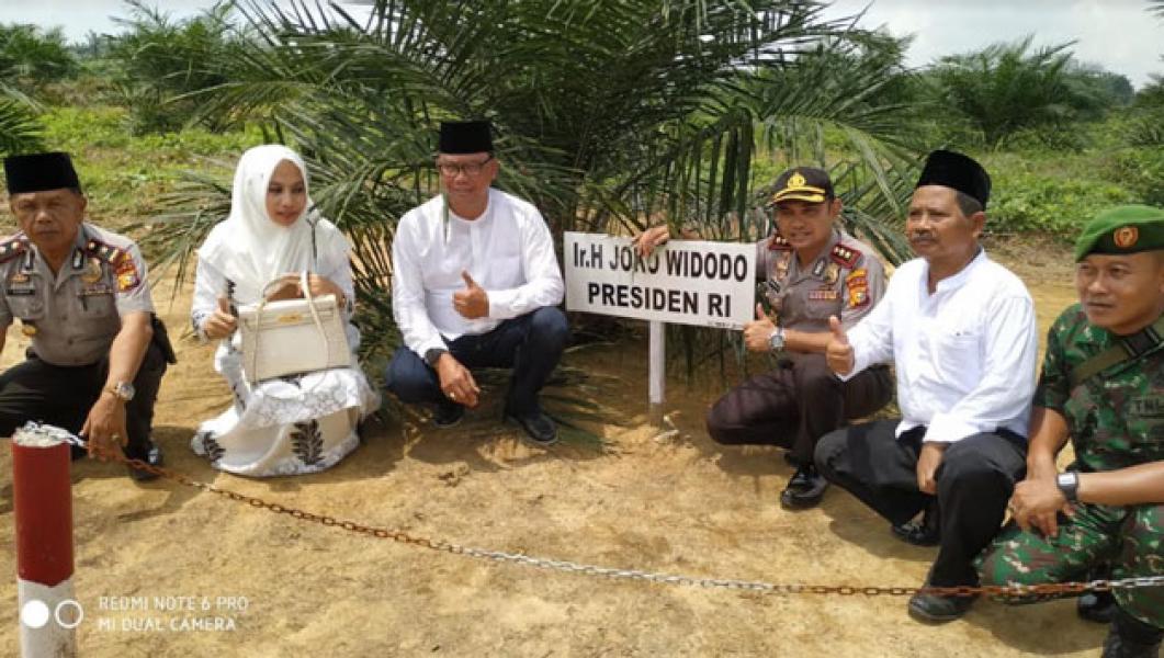 Baru berumur 1,5 tahun, Bupati Suyatno dodos Sawit Program PSR 