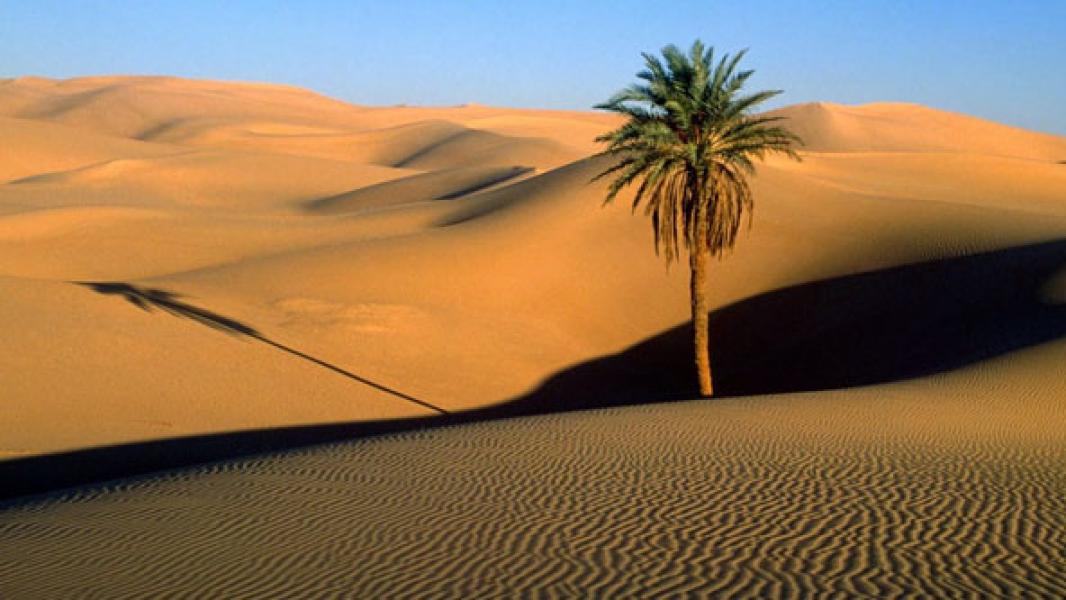 Kisah Nabi Saleh dan Tukang Tato