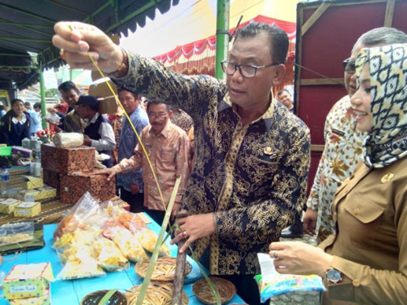 Program Kota Kreatif Angkat PAD Rohil