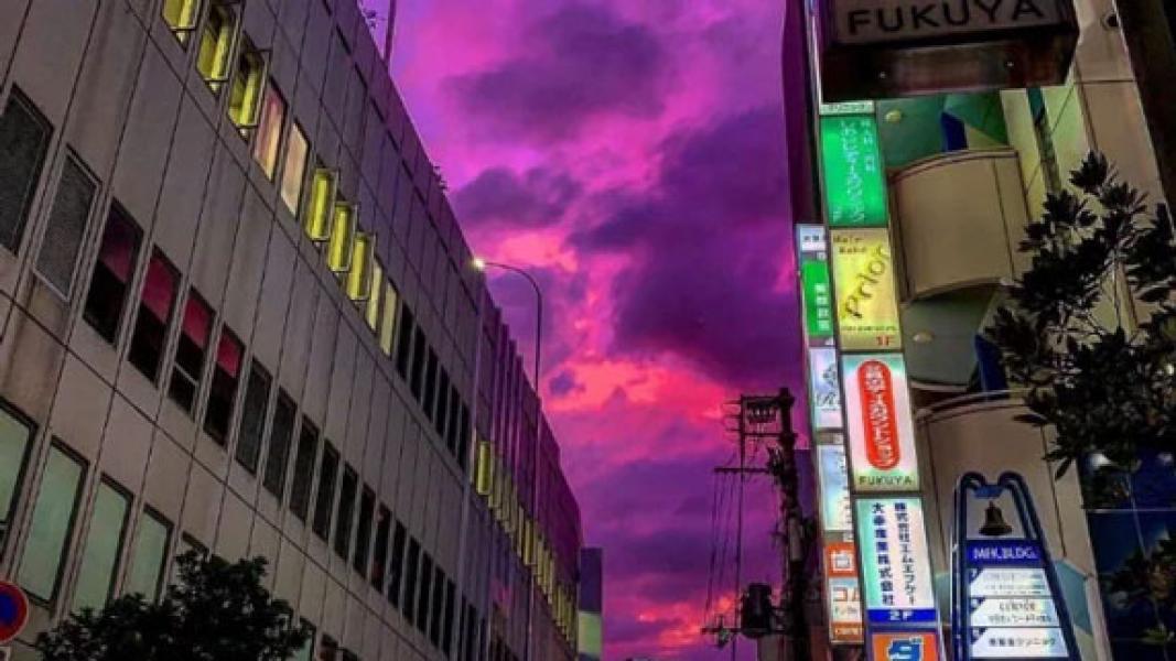 Topan Hagibis Makin Dekati Jepang, Langit Berubah Jadi Pink