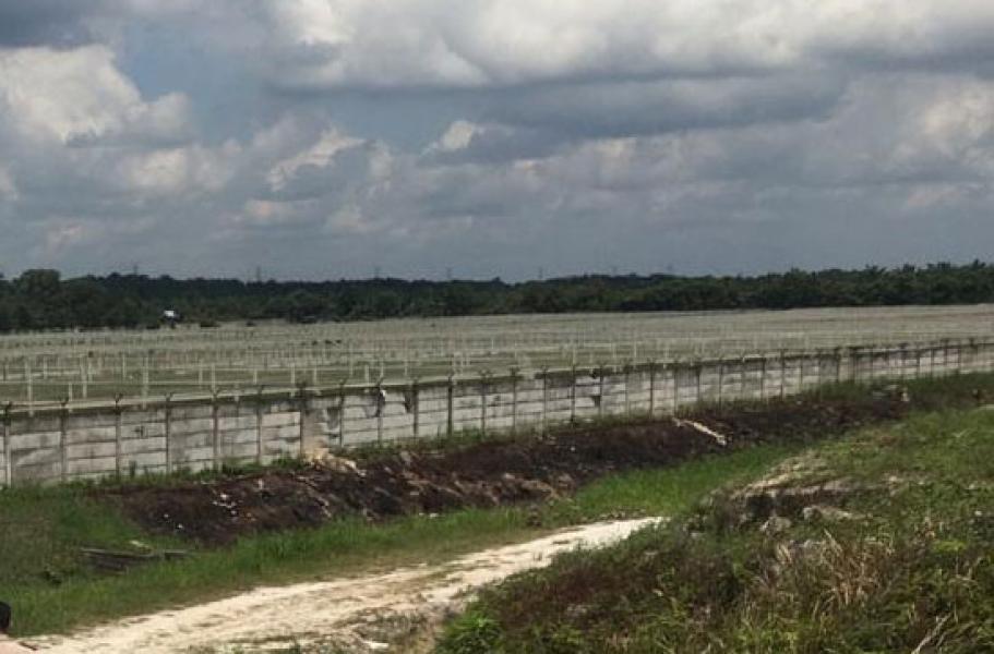 16 Tahun Penangkaran Arwana PT Tambak Seraya Disinyalir Gunakan Izin Cacat Hukum