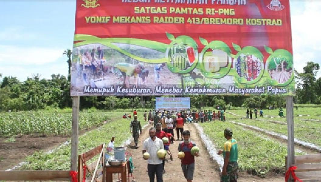 Panen Raya Untuk Negeri, Satgas Yonif MR 413 Dukung Program Ketahanan Pangan