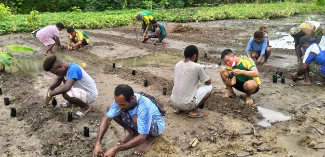 Satgas Yonif MR 413 Kostrad Ajarkan Warga Tanam Semangka di Kampung Mosso