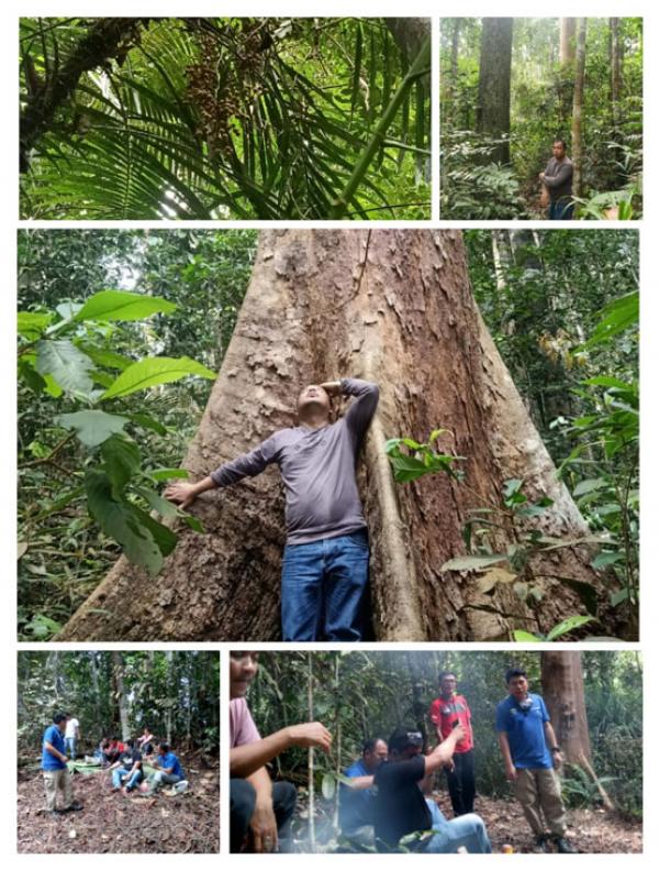 Tim Ekspedisi Penyelamatan Hutan Kepungan Sialang di Areal PT Arara Abadi Segera Lapor ke Gakum LHK